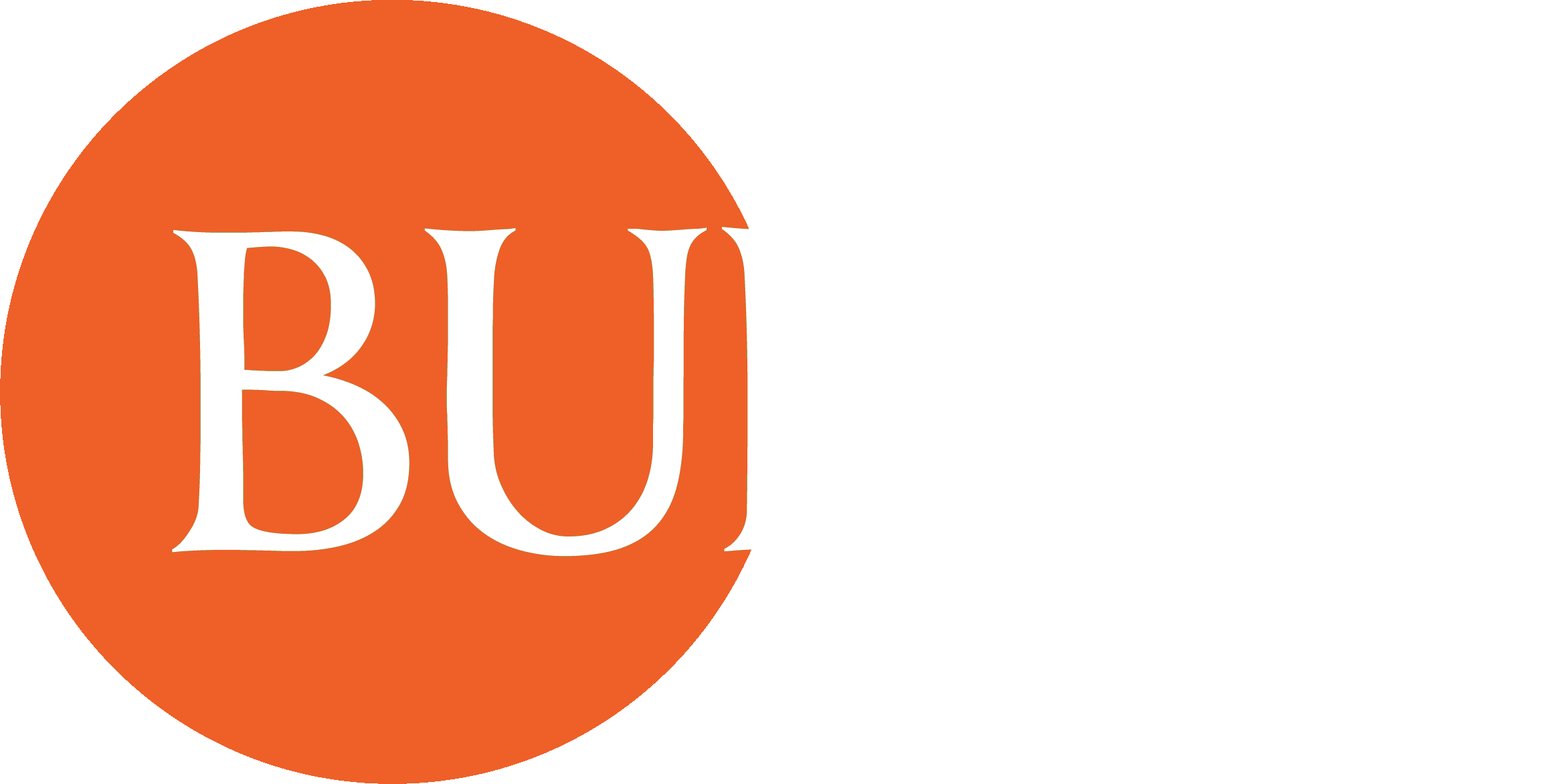 Logo Brand
